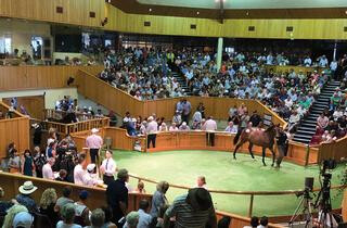 A full auditorium at Karaka's opening session.